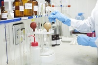 �����C���[�W�摜